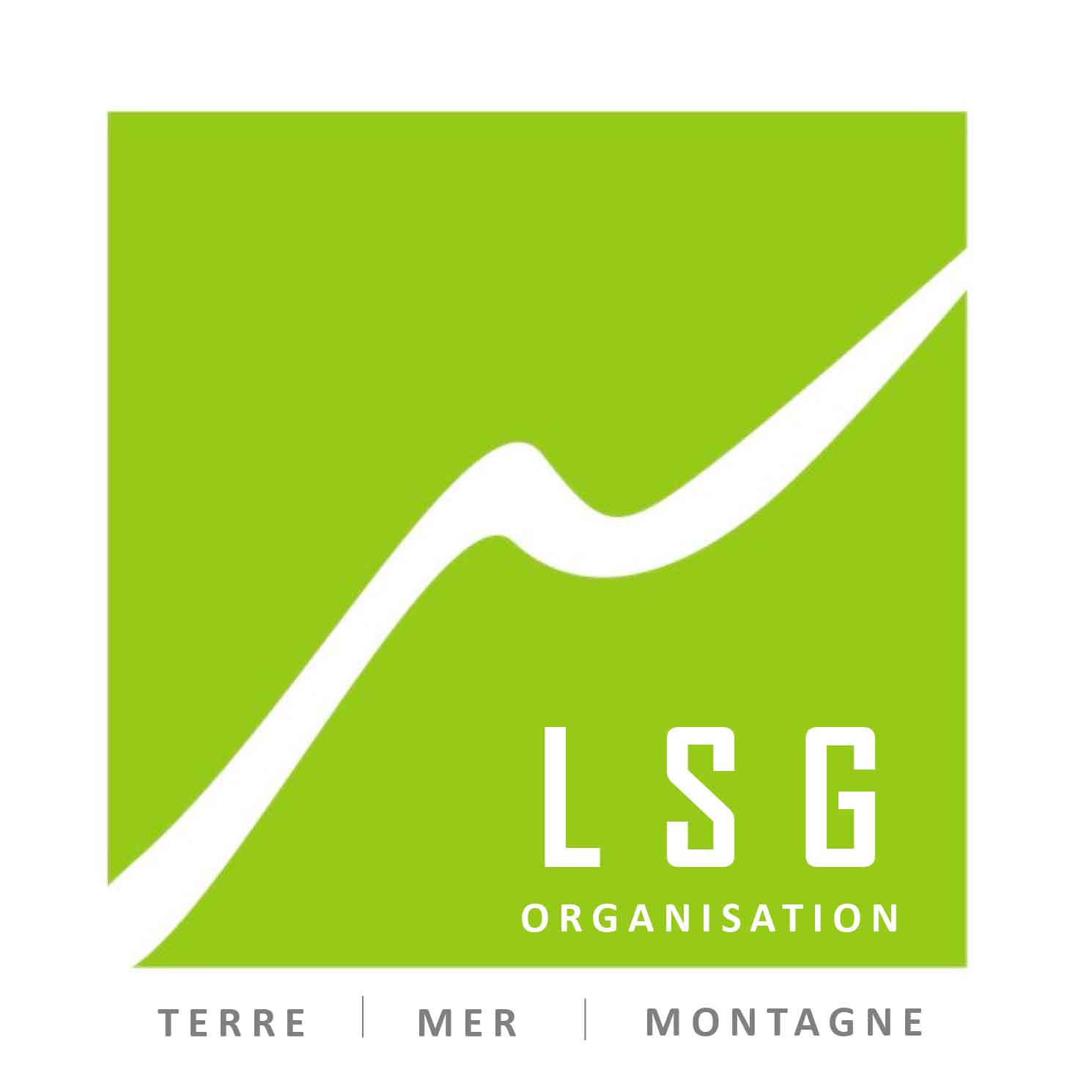 LSG Organisation